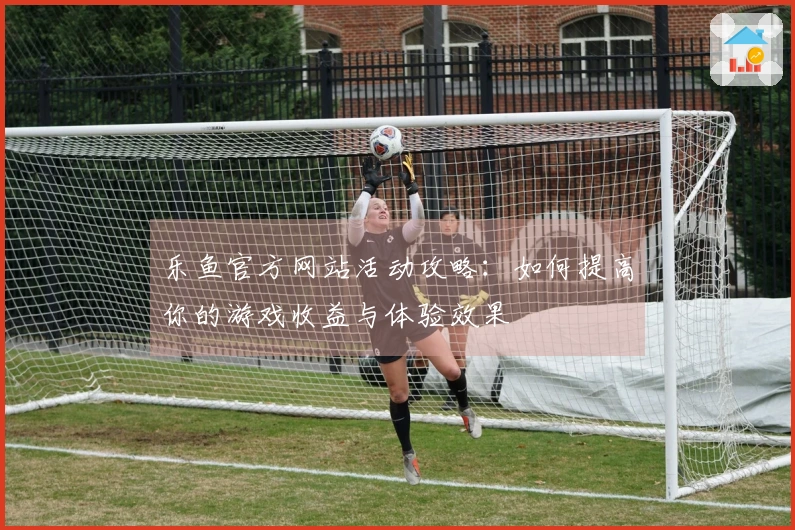 乐鱼官方网站活动攻略：如何提高你的游戏收益与体验效果